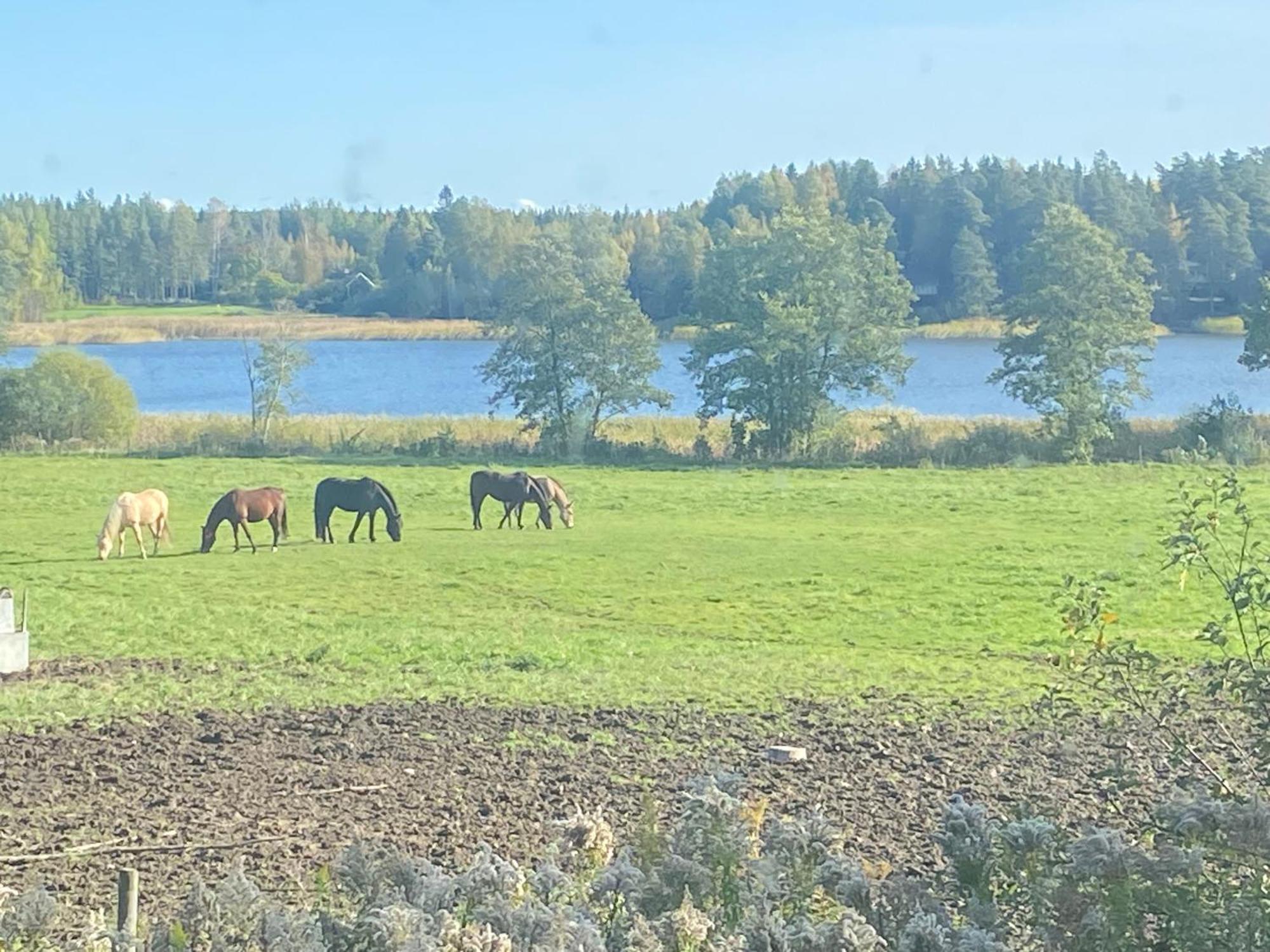 Ulvsby Ranch Western Camp Karlstad Exteriér fotografie