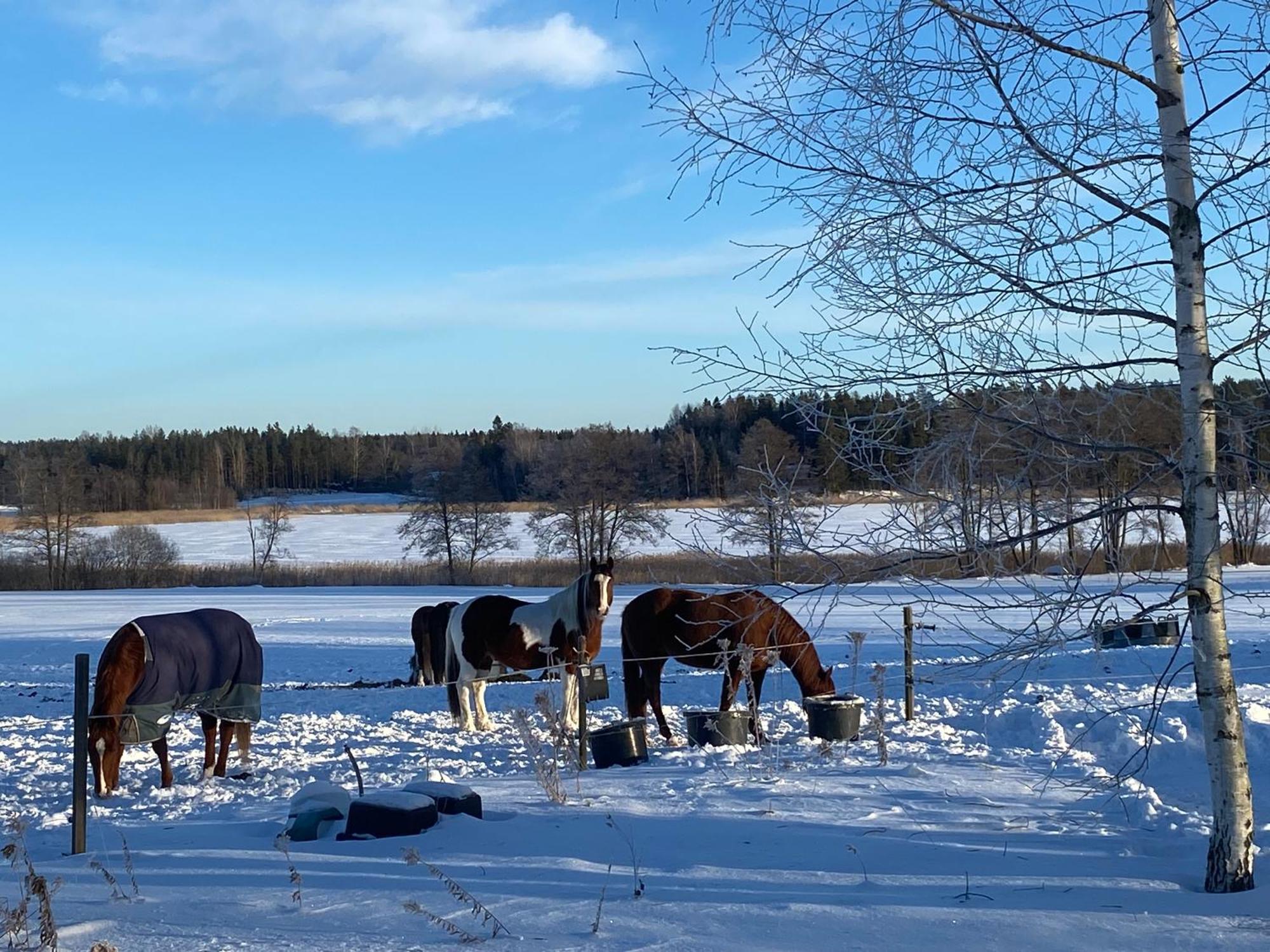 Penzion Ulvsby Ranch Karlstad Exteriér fotografie